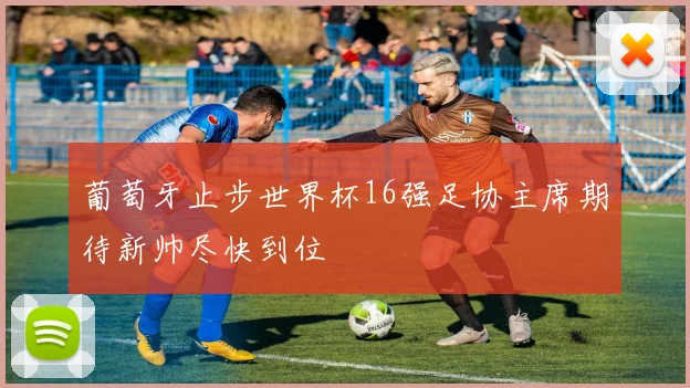 葡萄牙止步世界杯16强足协主席期待新帅尽快到位
