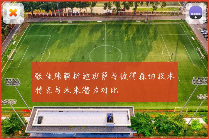 张佳玮解析迪班萨与彼得森的技术特点与未来潜力对比