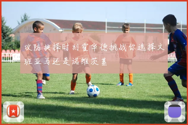 攻防抉择时刻霍华德挑战你选择文班亚马还是诺维茨基